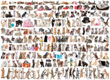 Eurographics | The World of Cats - Animal Charts | 1000 Pieces | Jigsaw Puzzle