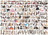 The World of Cats - Animal Charts | Eurographics | 1000 Pieces | Jigsaw Puzzle