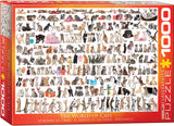 Eurographics | The World of Cats - Animal Charts | 1000 Pieces | Jigsaw Puzzle