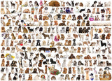 The World of Dogs - Animal Charts | Eurographics | 1000 Pieces | Jigsaw Puzzle