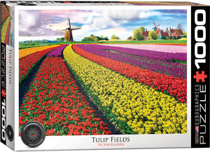 Tulip Fields - Netherlands | HDR Photography | Eurographics | 1000 Pieces | Jigsaw Puzzle