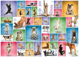 Eurographics | Yoga Dogs - Yoga Dogs & Cats Collection | 1000 Pieces | Jigsaw Puzzle