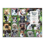 Galison | Rescue Dogs - Danny & Ron's Rescue | 1000 Pieces | Jigsaw Puzzle