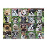 Galison | Rescue Dogs - Danny & Ron's Rescue | 1000 Pieces | Jigsaw Puzzle