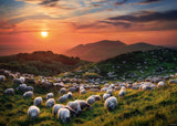 HEYE | Sheep and Volcanoes - Alexander Von Humboldt | 1000 Pieces | Jigsaw Puzzle