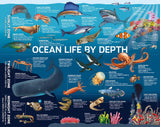 Hinkler | Ocean Life - Puzzlebilities | 500 Pieces | Jigsaw Puzzle