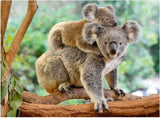 Koala Love | Ravensburger | 200 XXL Pieces | Jigsaw Puzzle