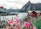 Lofoten - Norway | Scandinavian Places | Ravensburger | 1000 Pieces | Jigsaw Puzzle