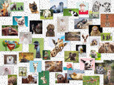 Funny Animals | Ravensburger | 1500 Pieces | Jigsaw Puzzle - Puzzles +