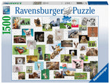 Funny Animals | Ravensburger | 1500 Pieces | Jigsaw Puzzle - Puzzles +