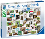 Funny Animals | Ravensburger | 1500 Pieces | Jigsaw Puzzle - Puzzles +
