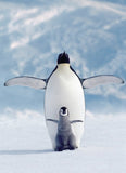 Penguin & Chick - Animal Life Photography | Eurographics | 1000 Pieces | Jigsaw Puzzle - Puzzles +