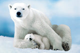 Polar Bear & Baby - Animal Life Photography | Eurographics | 1000 Pieces | Jigsaw Puzzle - Puzzles +