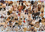 Ravensburger | Dogs Galore! | 1000 Pieces | Jigsaw Puzzle