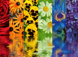 Ravensburger | Floral Reflections | 500 Pieces | Jigsaw Puzzle