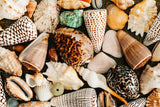 Sea Gems - The Art of Mindfulness | Tania Wicks | 1000 Pieces | Jigsaw Puzzle
